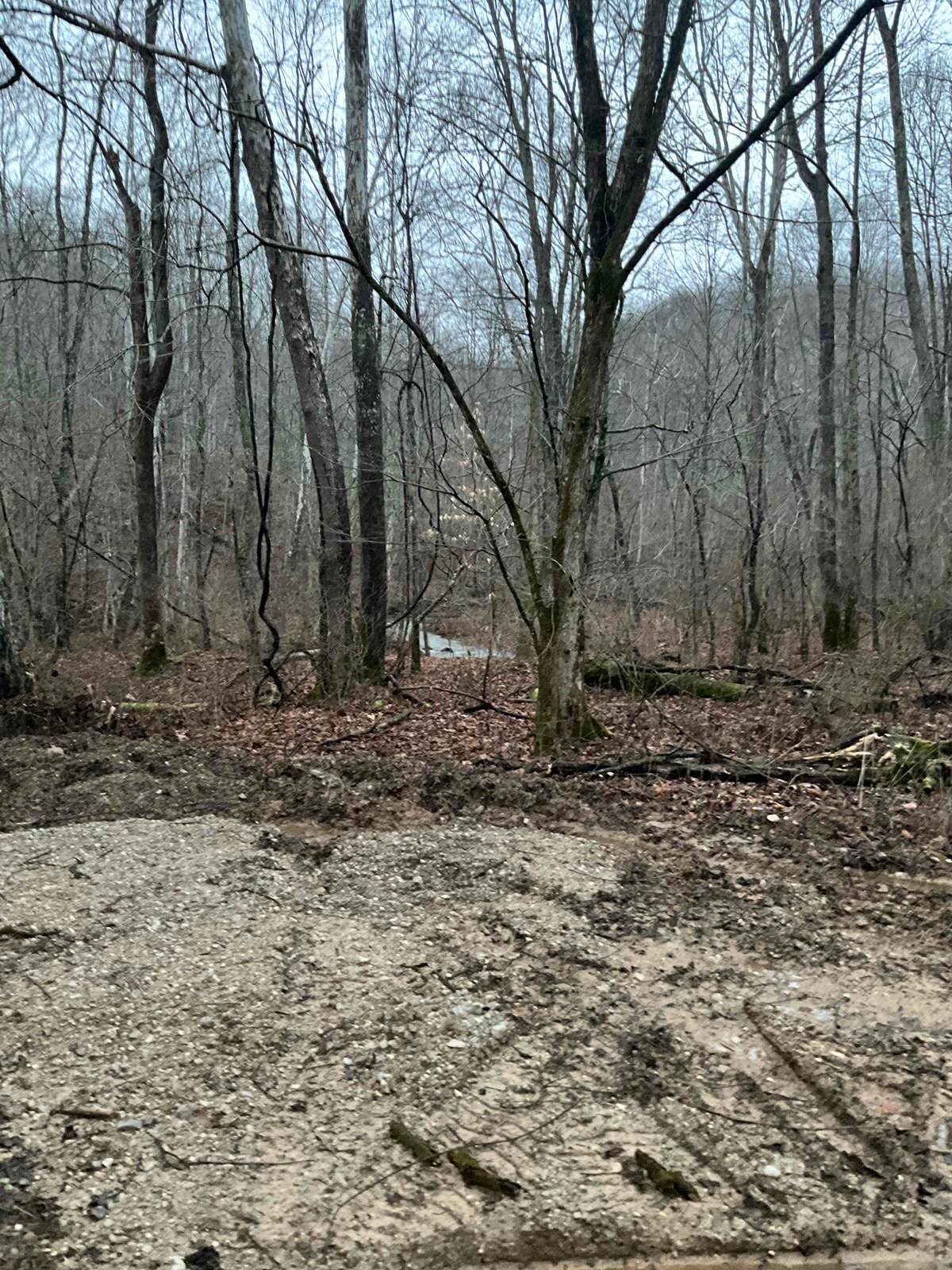HLRBO Kanawha,West Virginia Hunting Lease 0.00 Per Day