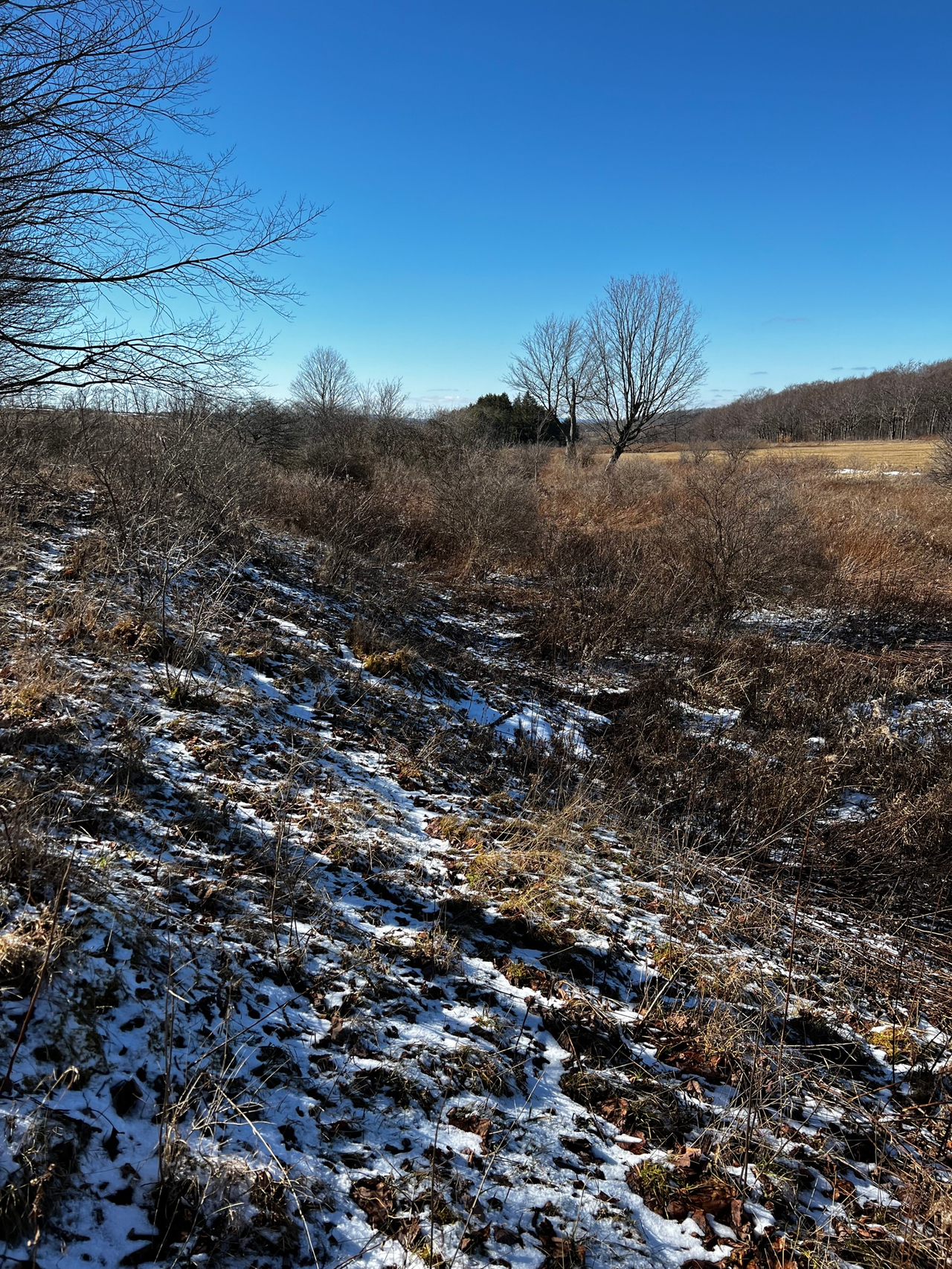 HLRBO Hunting Lease - 191 acres in Allegany County,New York