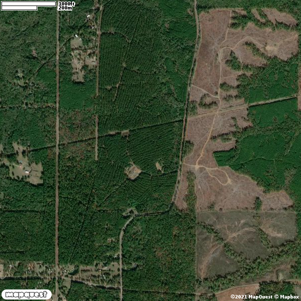 hlrbo-hunting-lease-250-acres-in-caddo-county-louisiana