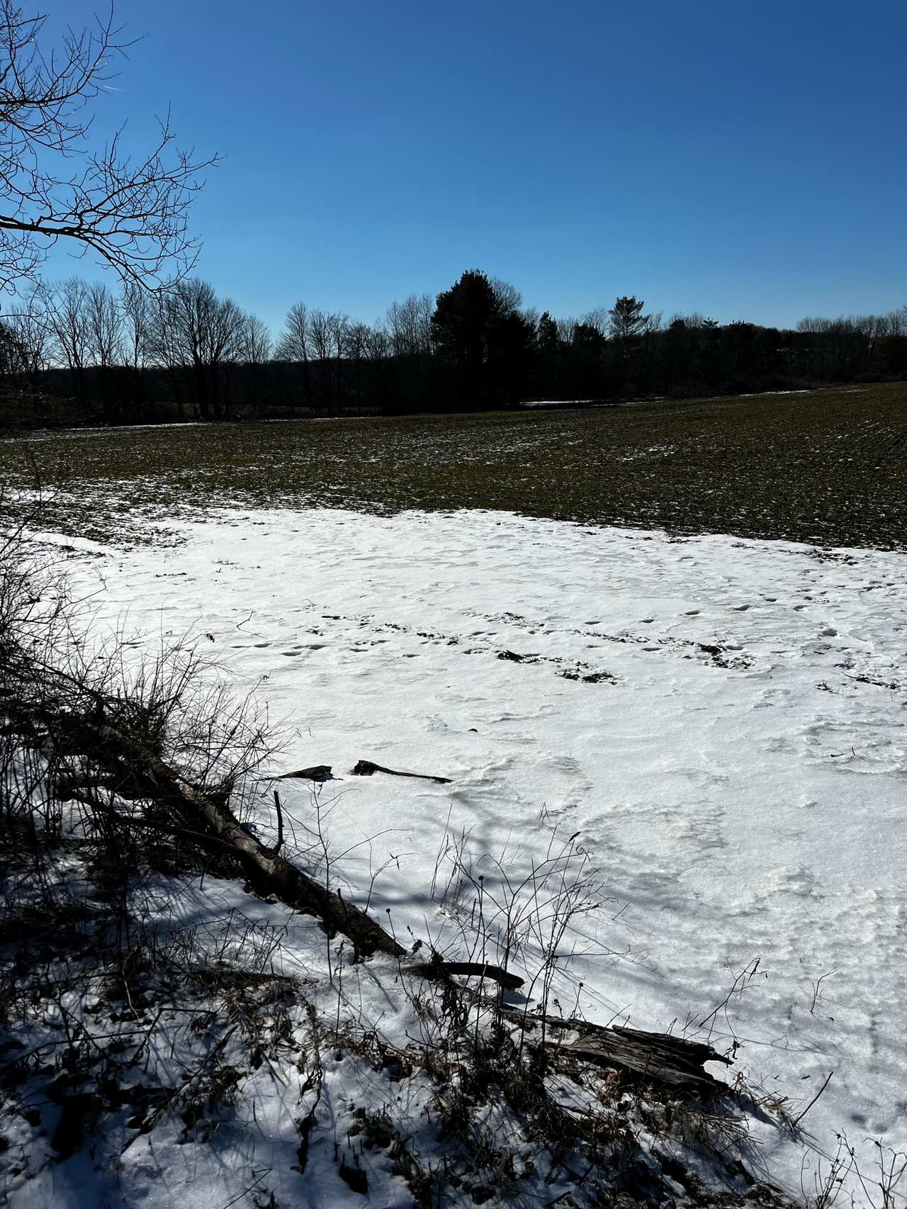 HLRBO Hunting Lease - 191 acres in Allegany County,New York