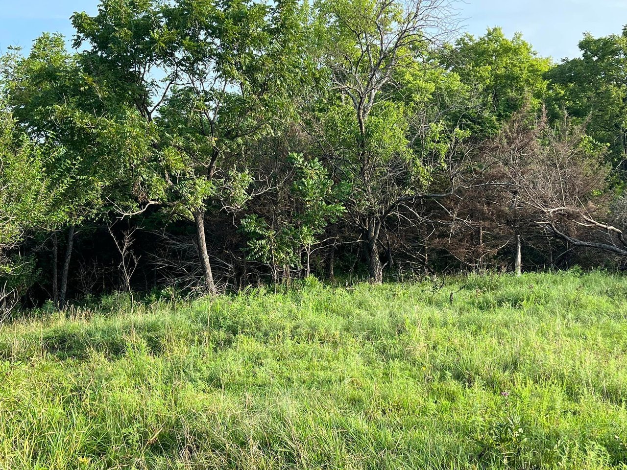 HLRBO Hunting Lease 232 acres in Osage County,Kansas