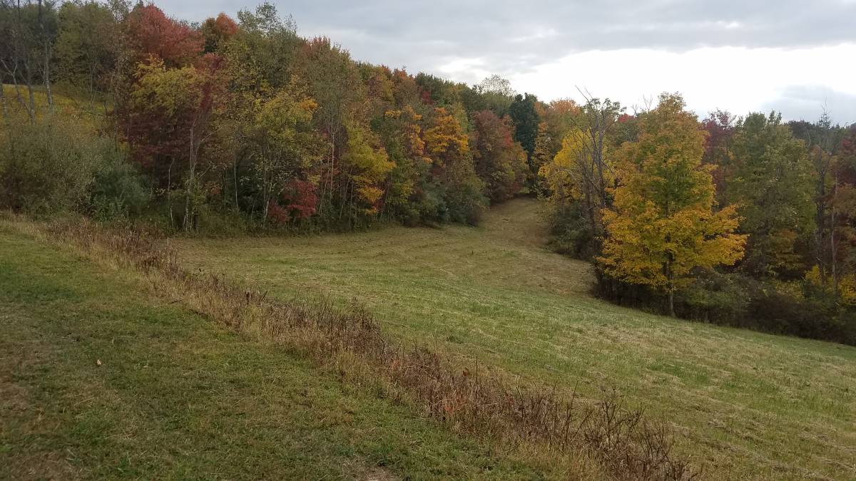 HLRBO Hunting Lease - 70 acres in Armstrong County,Pennsylvania