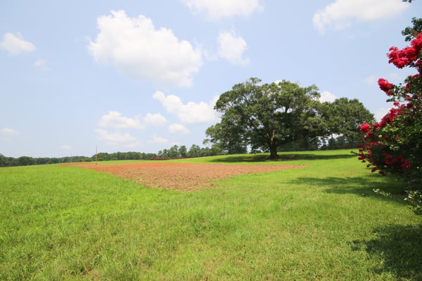 HLRBO Lee,Alabama Hunting Lease 245,000.00 Per Year