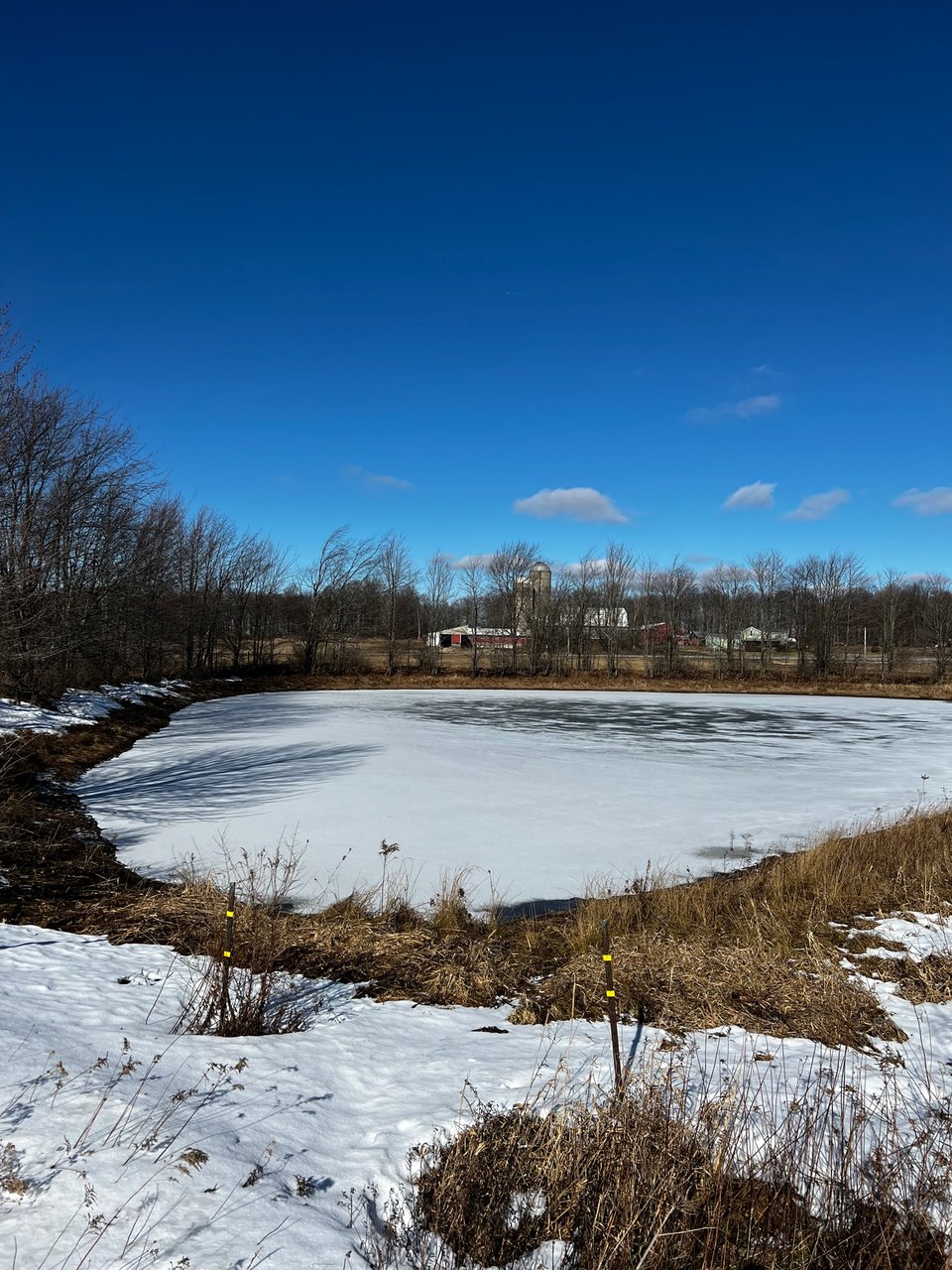 HLRBO Hunting Lease - 191 acres in Allegany County,New York