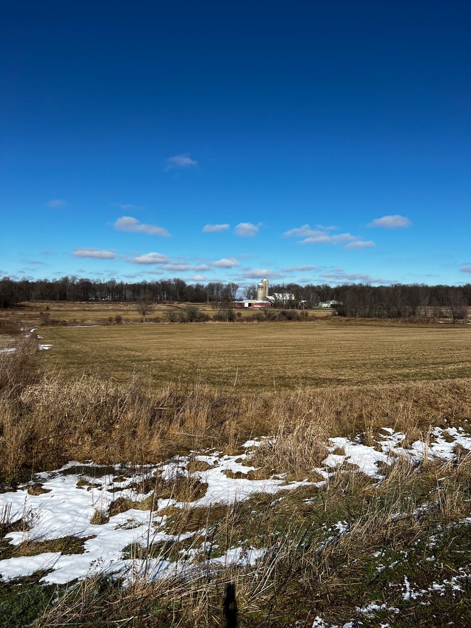 HLRBO Hunting Lease - 191 acres in Allegany County,New York